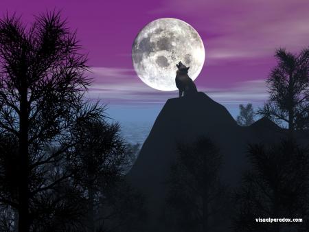 LA PLEINE LUNE